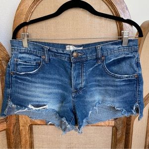 Free People / denim shorts
